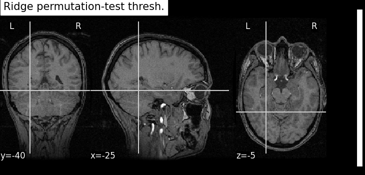 plot fmri data example