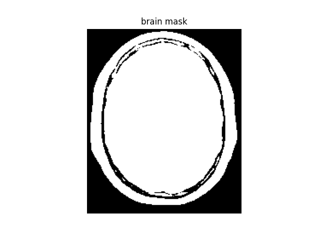 brain mask